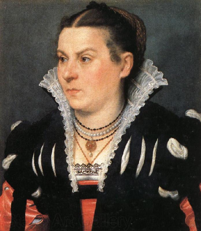 MORONI, Giovanni Battista Portrait of a Noblewoman